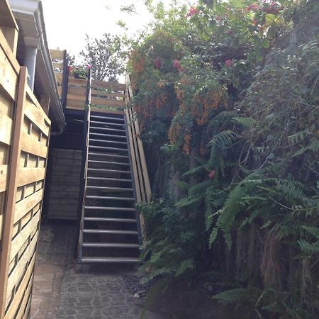 Appartement Le Bégonia à Ravine Seche Extérieur photo